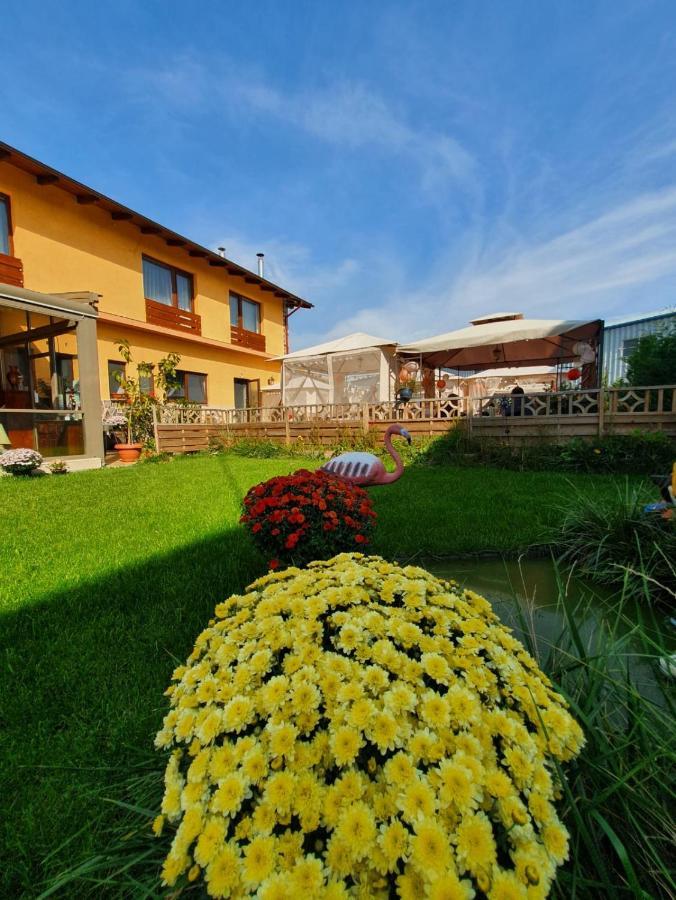 Sultan Mehmet Pensiune & Restaurant Braszów Zewnętrze zdjęcie